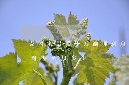 支付宝借呗十万逾期利息-支付宝借呗十万逾期利息多少