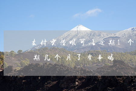 支付宝借呗可以逾期1个月吗(支付宝借呗逾期几个月了有事吗)