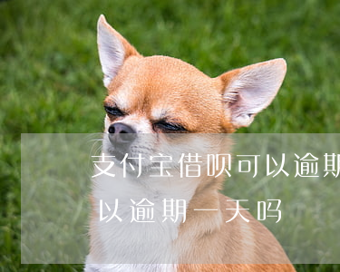 支付宝借呗可以逾期一天吗-支付宝借呗可以逾期一天吗?