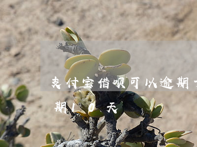 支付宝借呗可以逾期十几天吗(支付宝借呗逾期10天)