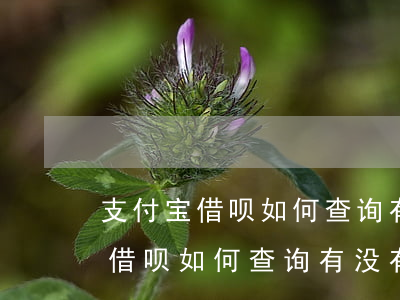支付宝借呗如何查询有没有逾期过-支付宝借呗如何查询有没有逾期过记录