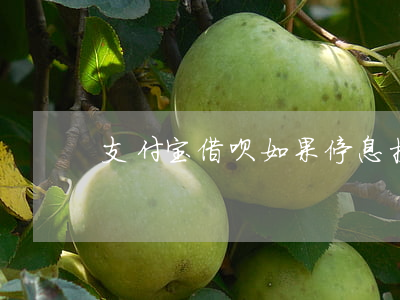 支付宝借呗如果停息挂账(支付宝借呗停了吗)