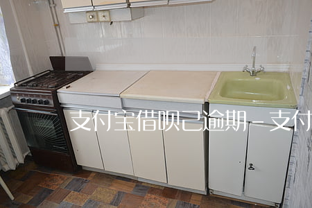 支付宝借呗己逾期-支付宝的借呗逾期