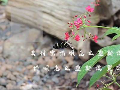 支付宝借呗怎么重新设置还款日期-支付宝借呗怎么重新设置还款日期和时间