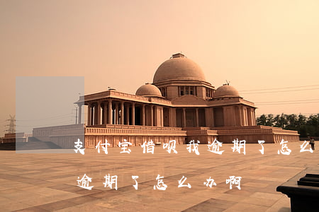 支付宝借呗我逾期了怎么办-支付宝借呗我逾期了怎么办啊
