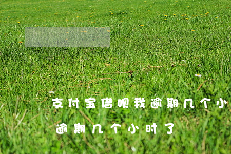 支付宝借呗我逾期几个小时-支付宝借呗我逾期几个小时了
