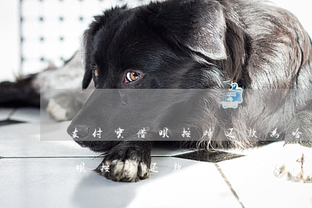 支付宝借呗按时还款为啥给关了-支付宝借呗按时还款为啥给关了呢