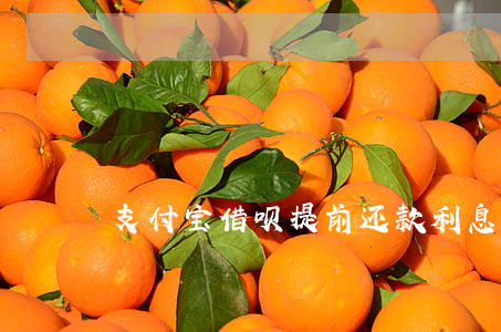 支付宝借呗提前还款利息怎么算