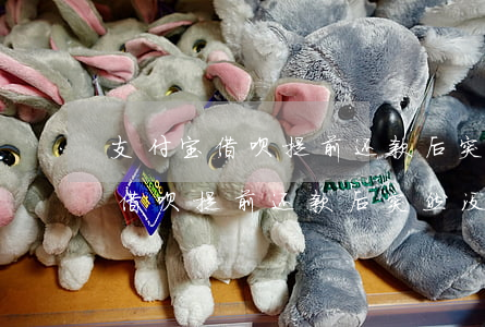支付宝借呗提前还款后突然没有了-支付宝借呗提前还款后突然没有了怎么回事