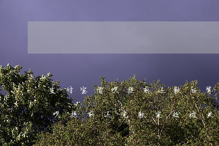 支付宝借呗提前还款后背取消了-支付宝借呗提前还完款突然被关闭了会有征信吗