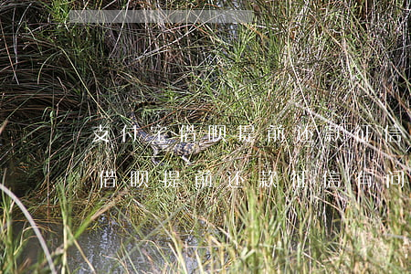 支付宝借呗提前还款征信有问题吗-支付宝借呗提前还款征信有问题吗怎么办