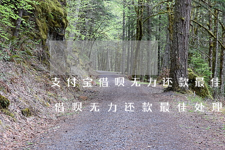 支付宝借呗无力还款最佳处理方法-支付宝借呗无力还款最佳处理方法视频