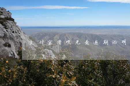 支付宝借呗无意逾期证明(借呗一不小心逾期了怎么办)