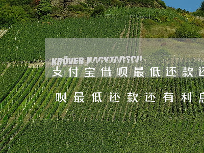 支付宝借呗最低还款还有利息吗-支付宝借呗最低还款还有利息吗多少