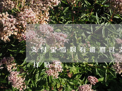 支付宝借呗有逾期过(支付宝借呗逾期会怎么样贴吧)