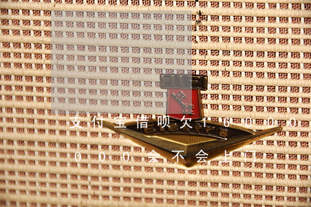 支付宝借呗欠16000会上门吗(借呗欠4000会不会上门)