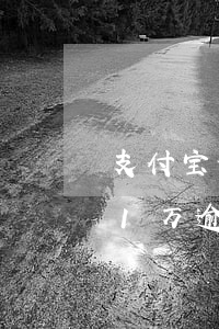 支付宝借呗欠1万逾期一年-支付宝借呗欠1万逾期一年会怎样
