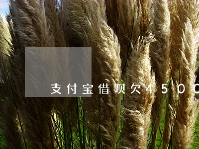 支付宝借呗欠4500图片