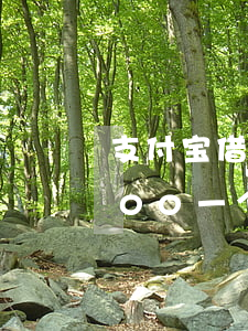 支付宝借呗欠500一年(欠支付宝借呗2000,一个月没还了)
