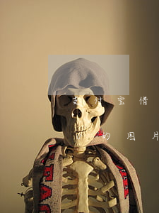支付宝借呗欠9800图片(借呗欠18000的图片)