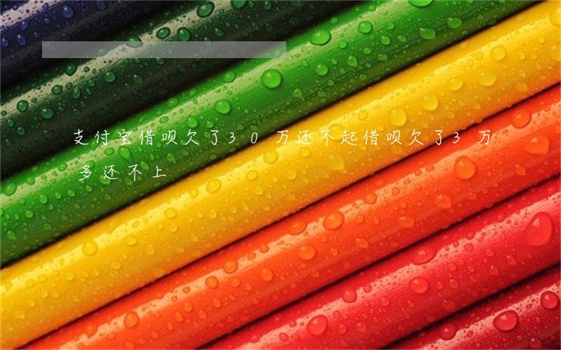 支付宝借呗欠了30万还不起(借呗欠了3万多还不上)