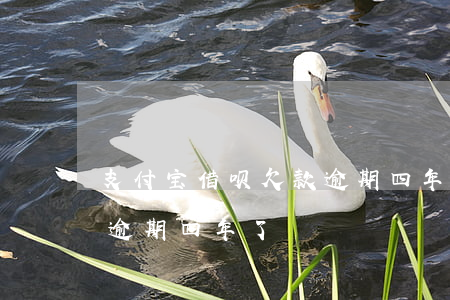 支付宝借呗欠款逾期四年-支付宝借呗欠款逾期四年了