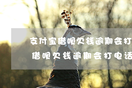 支付宝借呗欠钱逾期会打电话催吗-支付宝借呗欠钱逾期会打电话催吗是真的吗
