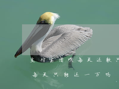 支付宝借呗每天还款只能一万吗-借呗还款每天只能还一万吗
