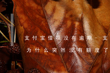 支付宝借呗没有逾期-支付宝借呗没有逾期为什么突然没有额度了