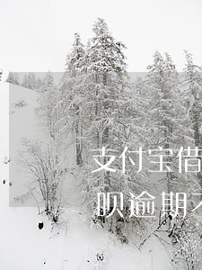 支付宝借呗没有逾期会催着还钱吗(支付宝借呗逾期不还会有什么后果?看完这些后)