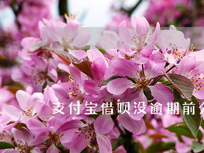 支付宝借呗没逾期前分期-借呗分期逾期了