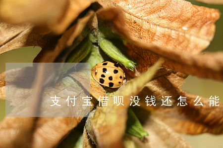 支付宝借呗没钱还怎么能欠多久-