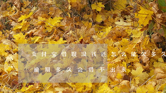 支付宝借呗没钱还怎么能欠多久(支付宝借呗逾期多久会借不出来)