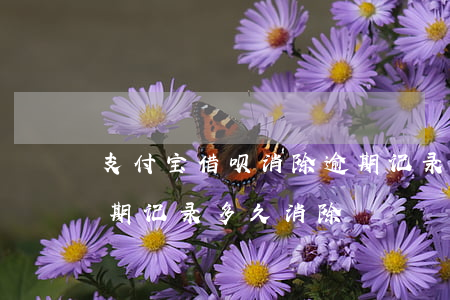 支付宝借呗消除逾期记录(支付宝花呗借呗逾期记录多久消除)