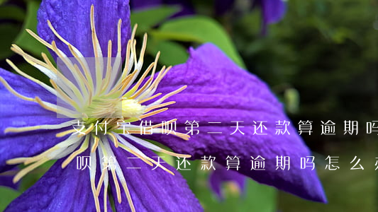 支付宝借呗第二天还款算逾期吗-支付宝借呗第二天还款算逾期吗怎么办