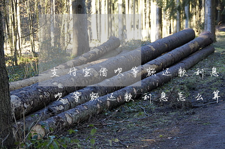 支付宝借呗等额还款利息怎么算-支付宝借呗等额还款利息怎么算的