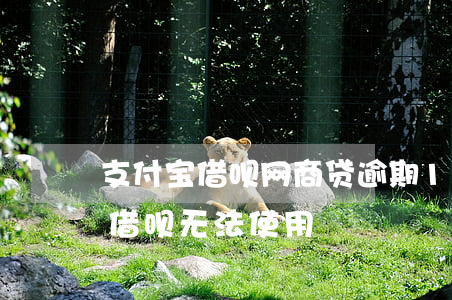 支付宝借呗网商贷逾期1天(网商贷逾期1天 借呗无法使用)