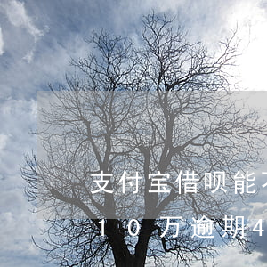 支付宝借呗能不能申请延期还款-借呗欠了10万逾期4年了