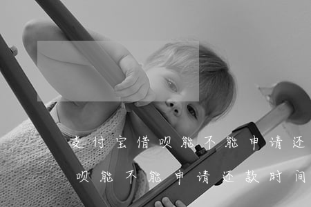 支付宝借呗能不能申请还款时间-支付宝借呗能不能申请还款时间长一点