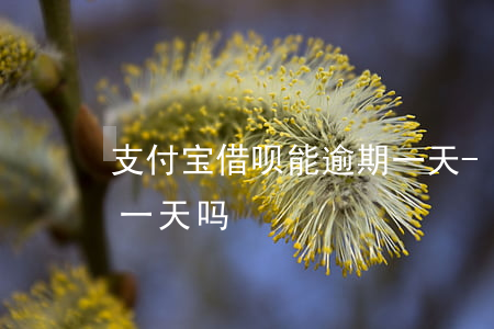 支付宝借呗能逾期一天-支付宝借呗能逾期一天吗