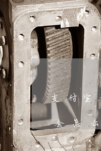支付宝借呗能逾期吗知乎(支付宝借呗逾期了会怎么样吗)