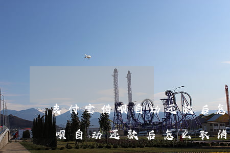 支付宝借呗自动还款后怎么取消-支付宝借呗自动还款后怎么取消掉