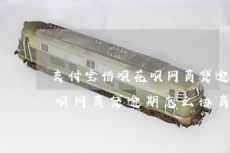 支付宝借呗花呗网商贷逾期-支付宝借呗花呗网商贷逾期怎么协商