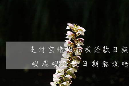 支付宝借呗花呗还款日期能改吗-支付宝借呗花呗还款日期能改吗怎么改