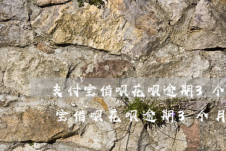支付宝借呗花呗逾期3个月会上门吗-支付宝借呗花呗逾期3个月会上门吗