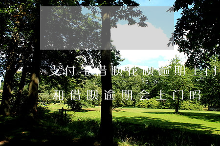 支付宝借呗花呗逾期上门合法吗（支付宝花呗和借呗逾期会上门吗）