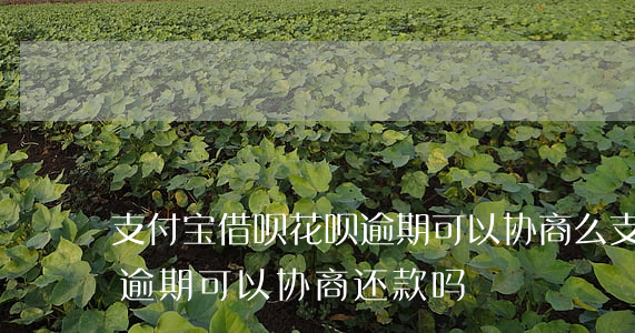 支付宝借呗花呗逾期可以协商么(支付宝借呗逾期可以协商还款吗?)