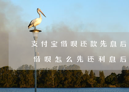 支付宝借呗还款先息后本怎么设置-支付宝借呗怎么先还利息后还本金怎么设置