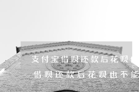 支付宝借呗还款后花呗也不能用了-支付宝借呗还款后花呗也不能用了怎么回事