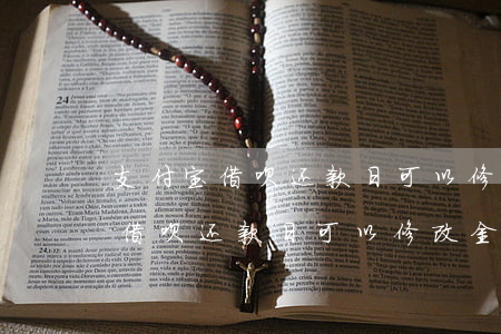 支付宝借呗还款日可以修改金额吗-支付宝借呗还款日可以修改金额吗安全吗
